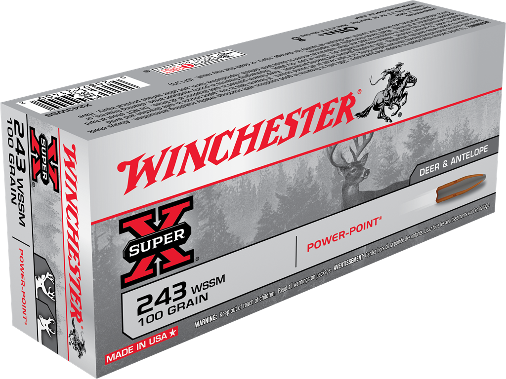 243 Win. Winchester Power Point 6,5 g