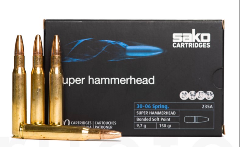 30 - 06 Spr. Sako Super Hammerhead 9,7 g