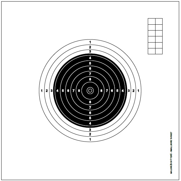 mezinárodní malorážkový terč