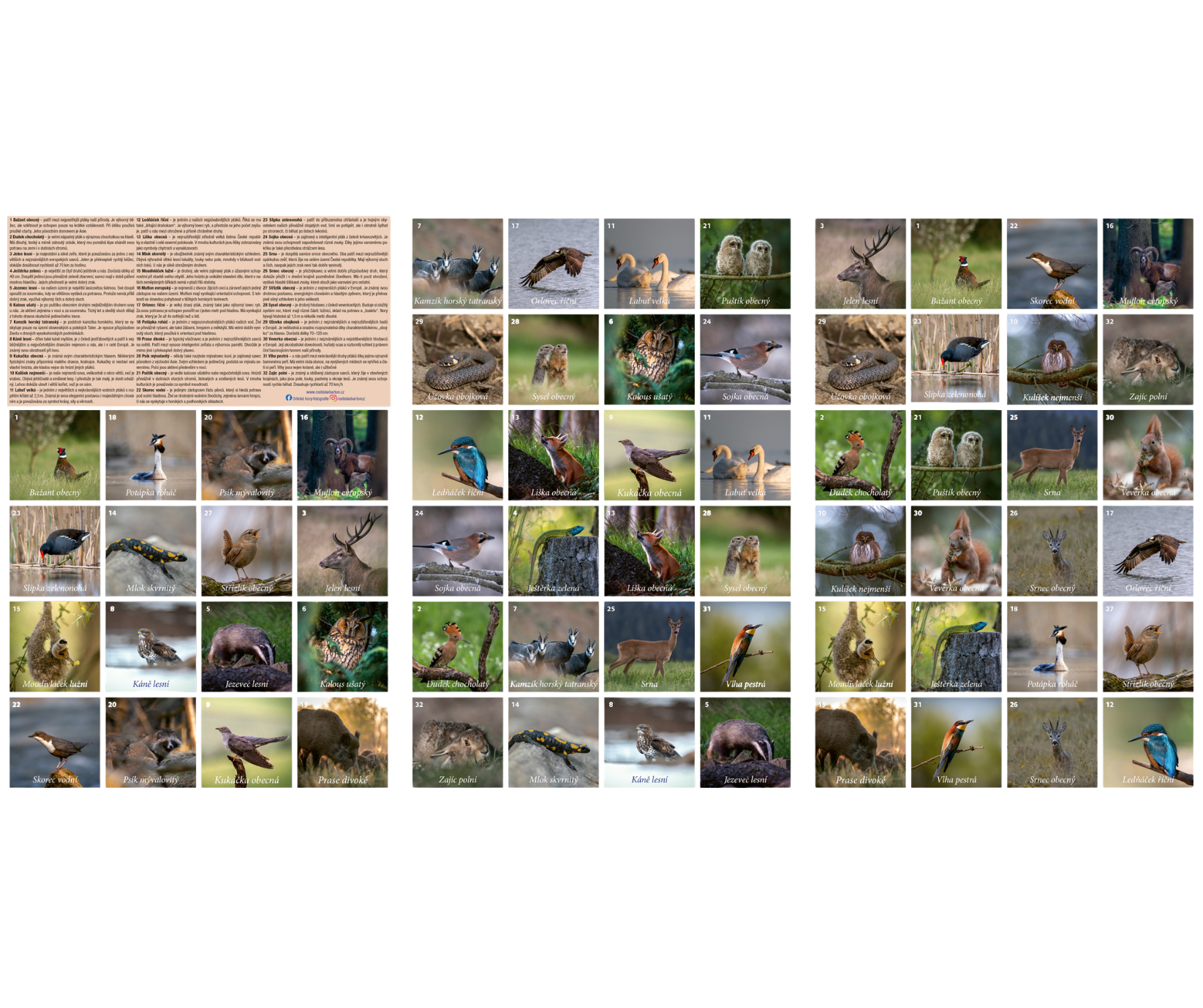 pexeso - Za zvířátky bez ohrádky